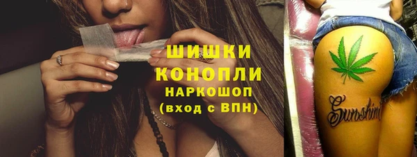 стаф Богородицк