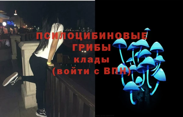 стаф Богданович