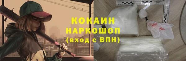 стаф Богданович