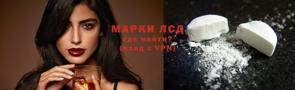 стаф Богданович