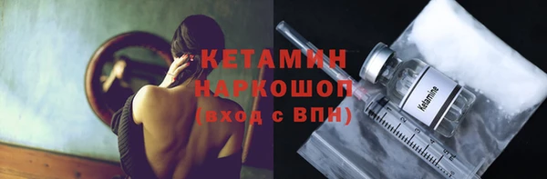 стаф Богданович