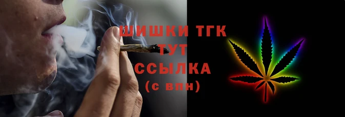 стаф Богданович