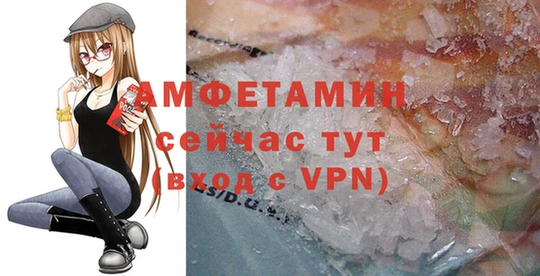 стаф Богданович
