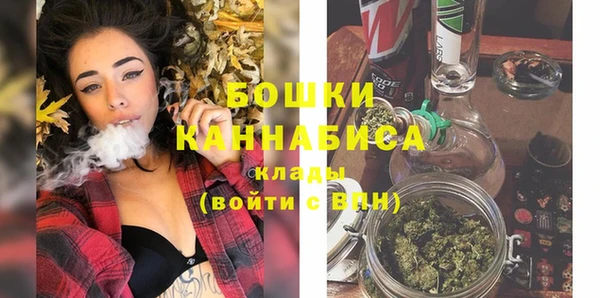 стаф Богородицк