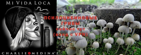 стаф Богородицк